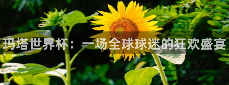 世界杯附加赛赛程表:玛塔世界杯:一场全球球迷的狂欢盛宴