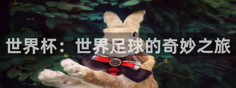 世界杯直播网:世界杯:世界足球的奇妙之旅